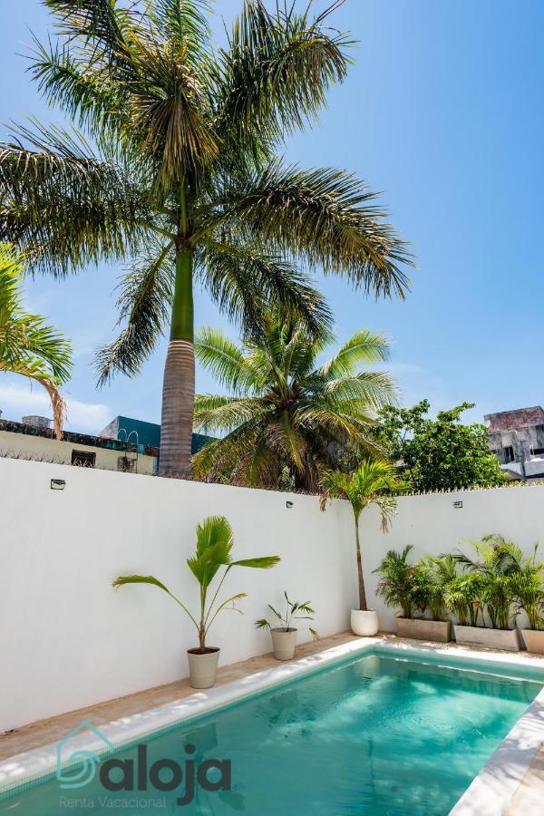 Vica Guest House Con Piscina En La Entrada De La Zona Hotelera Cancún Extérieur photo